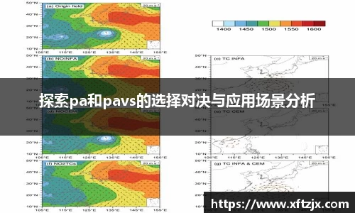 NG28探索pa和pavs的选择对决与应用场景分析